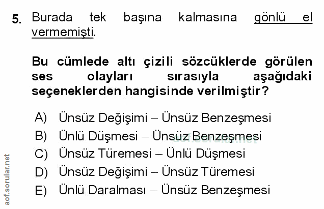 Soru 5