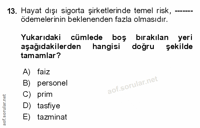 Soru 13