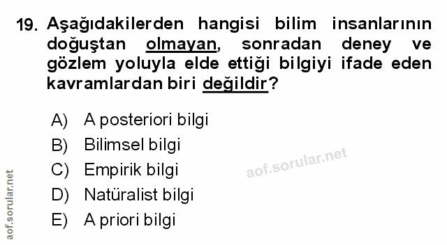Soru 19