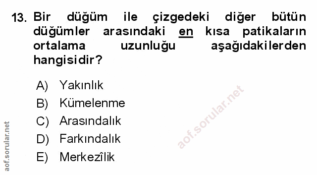 Soru 13