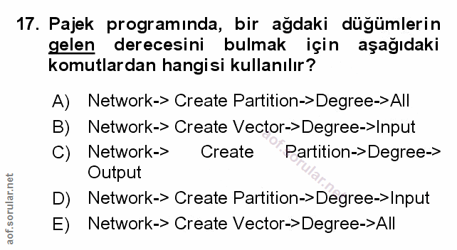 Soru 17