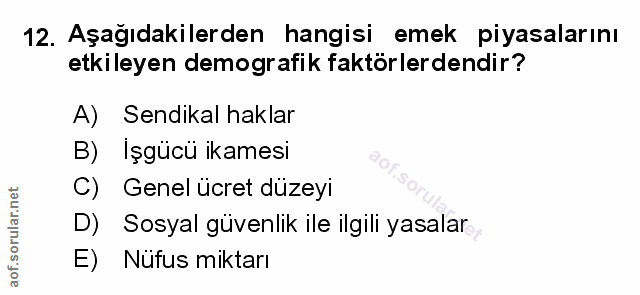 Soru 12