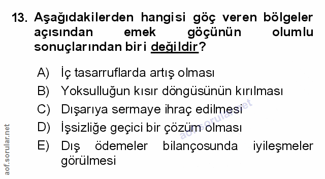 Soru 13