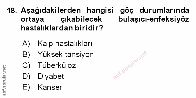 Soru 18