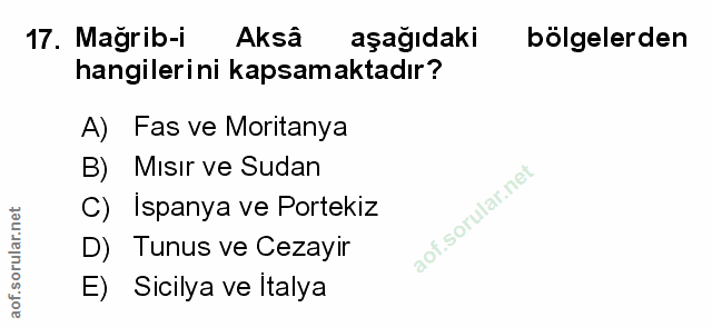 Soru 17