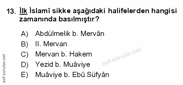 Soru 13