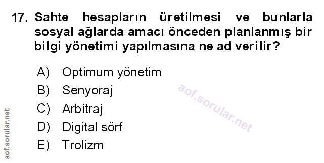 Soru 17
