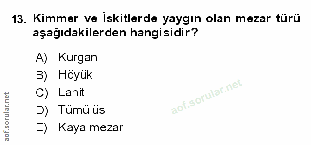 Soru 13