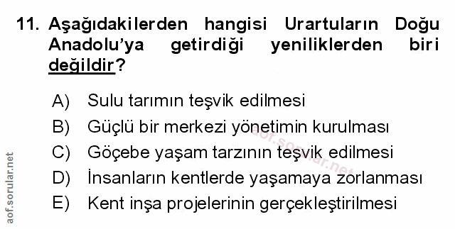 Soru 11