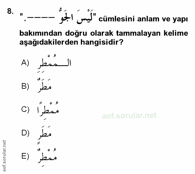 Soru 8