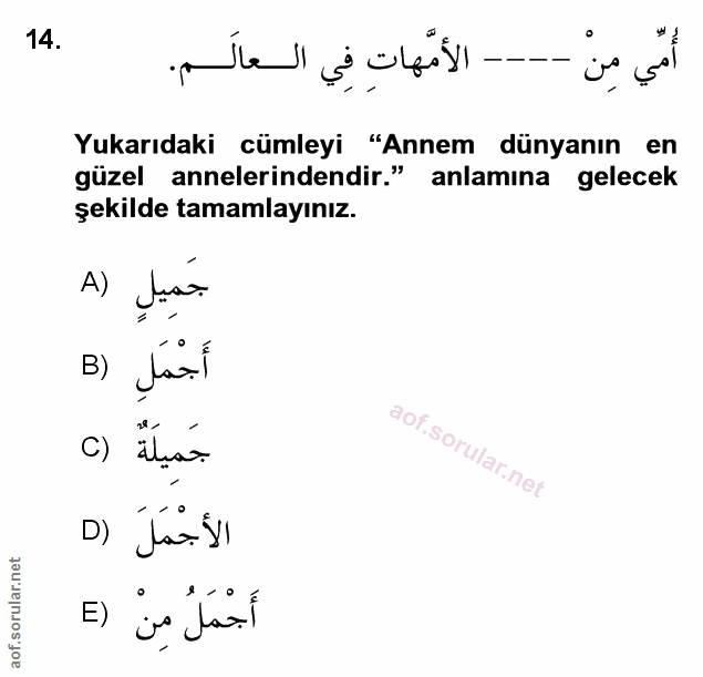 Soru 14
