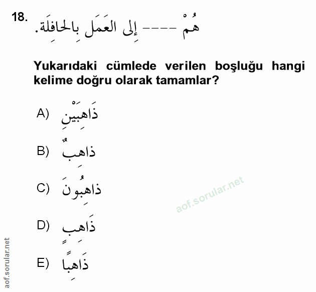 Soru 18