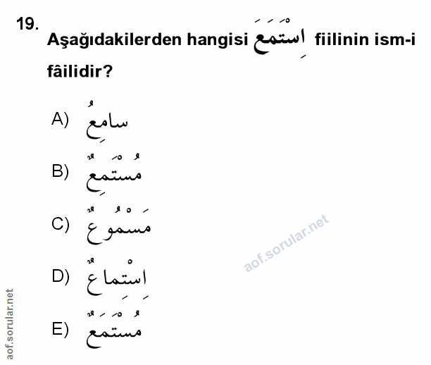 Soru 19