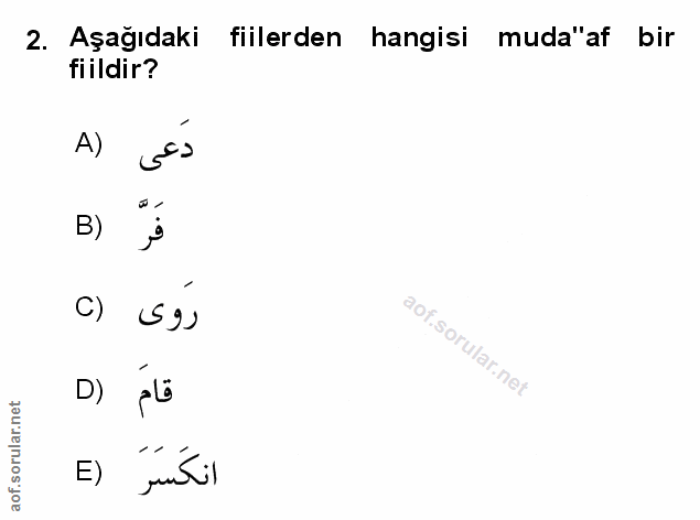 Soru 2