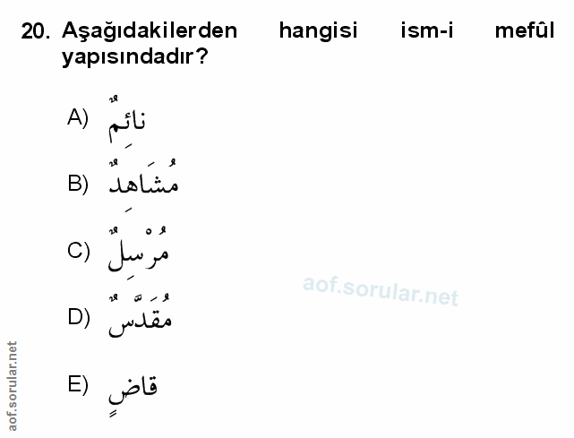 Soru 20