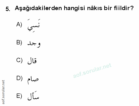 Soru 5