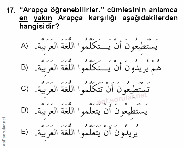 Soru 17