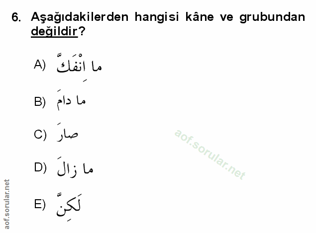 Soru 6