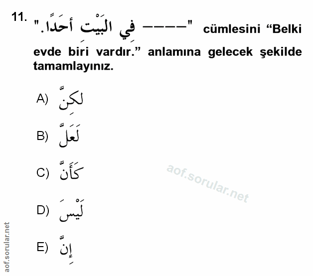 Soru 11