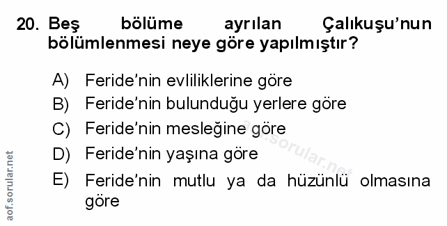 Soru 20
