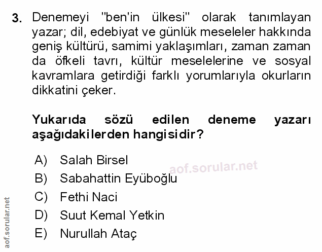 Soru 3