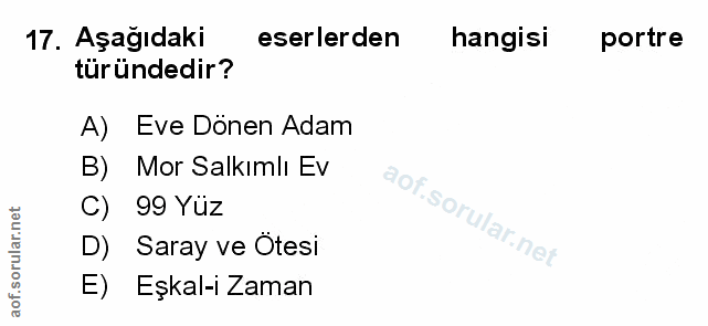 Soru 17