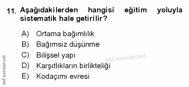 Soru 11