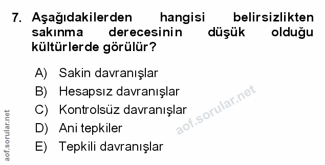 Soru 7