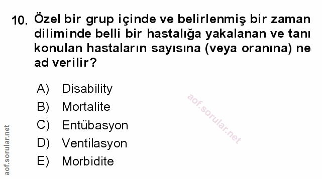 Soru 10