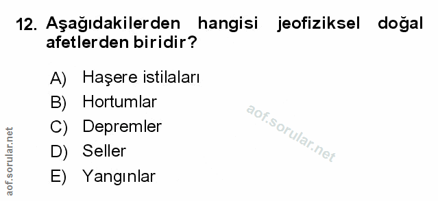 Soru 12