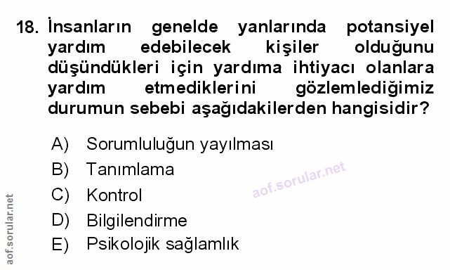 Soru 18
