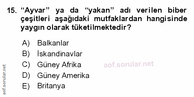Soru 15