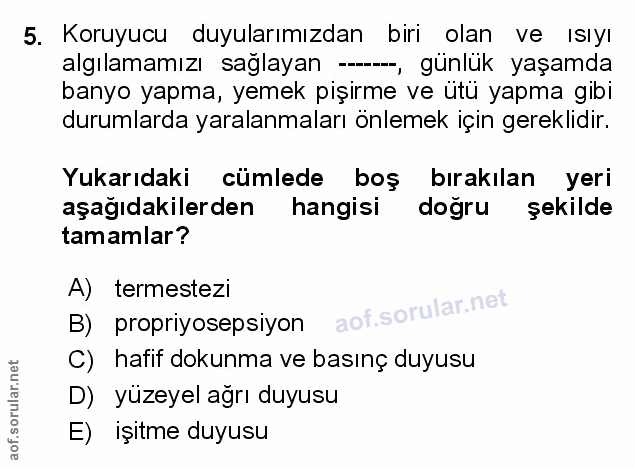 Soru 5
