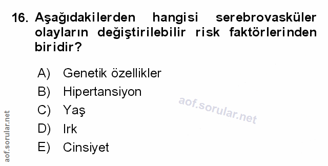 Soru 16