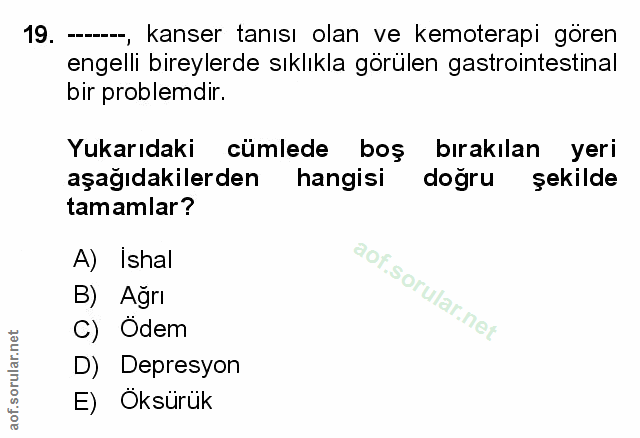 Soru 19