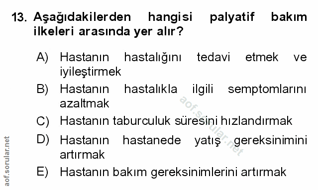 Soru 13