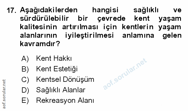 Soru 17