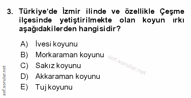 Soru 3