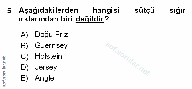 Soru 5