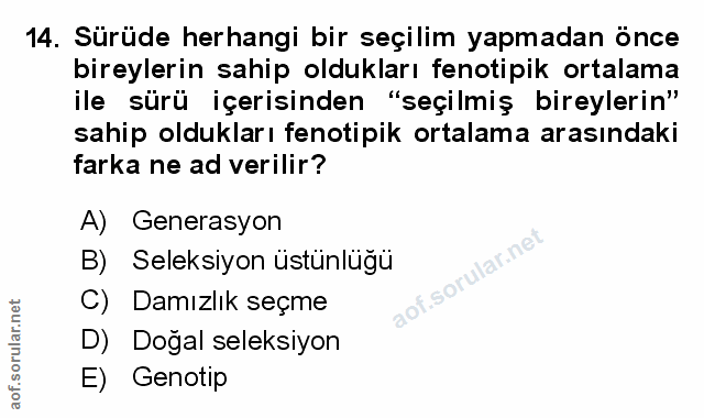 Soru 14