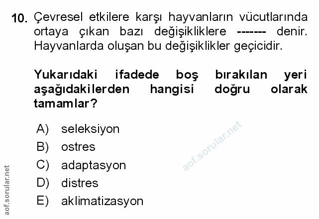 Soru 10
