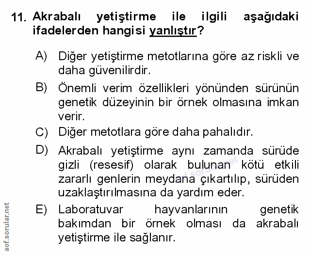 Soru 11