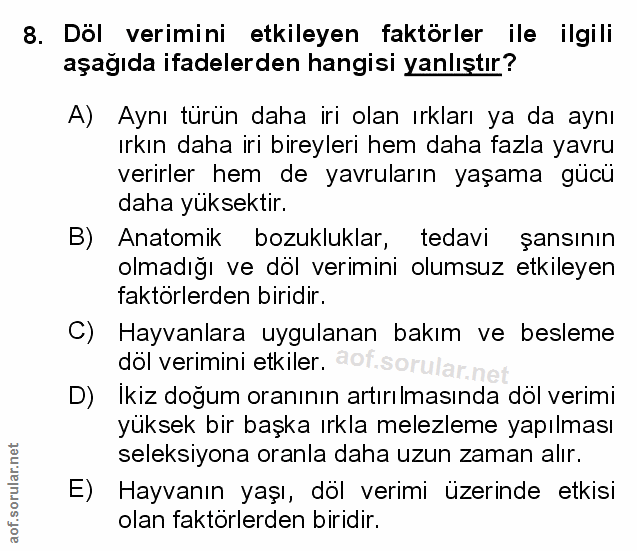Soru 8