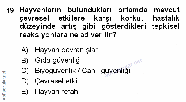 Soru 19