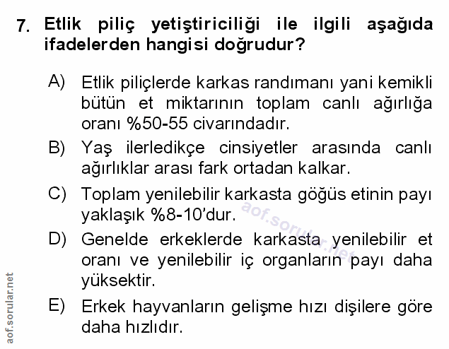 Soru 7