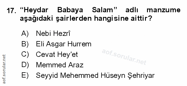 Soru 17