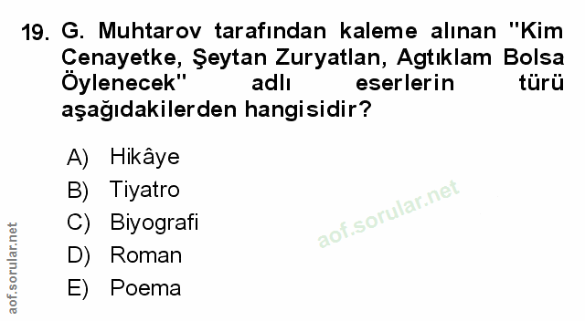 Soru 19