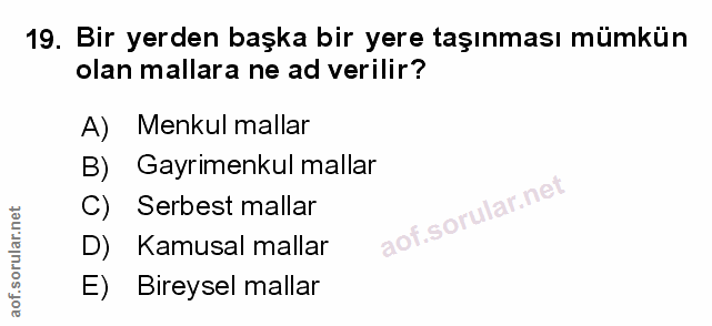 Soru 19