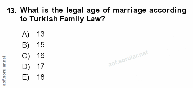 Soru 13