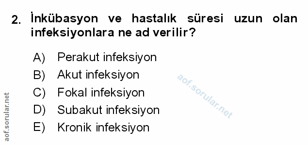 Soru 2